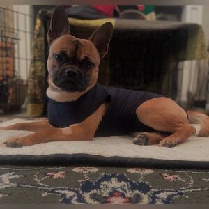 Black Suitical Surgery Recovery XS